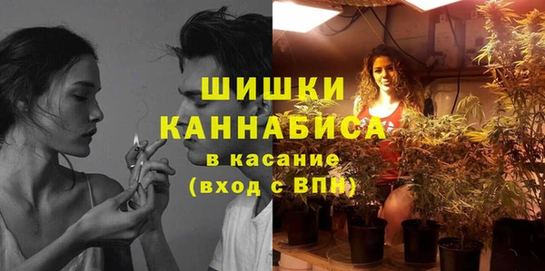 кокс Ельня