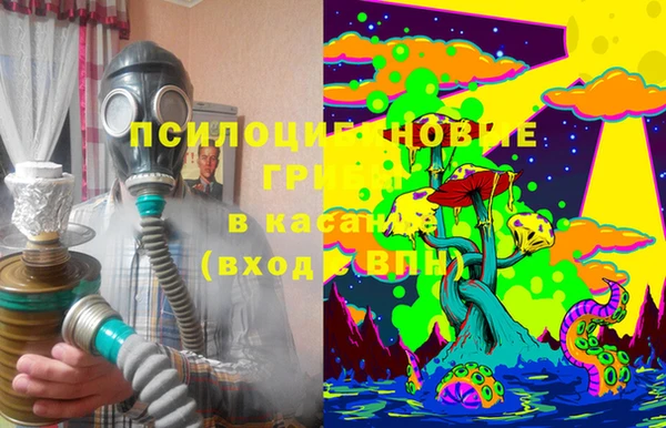 индика Гусев