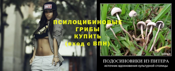 кокс Ельня