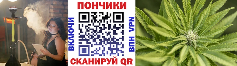где купить   Златоуст  Шишки марихуана THC 21% 